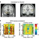 Image for article titled How a Human Scream Uniquely Activates the Fear Response in Your Brain
